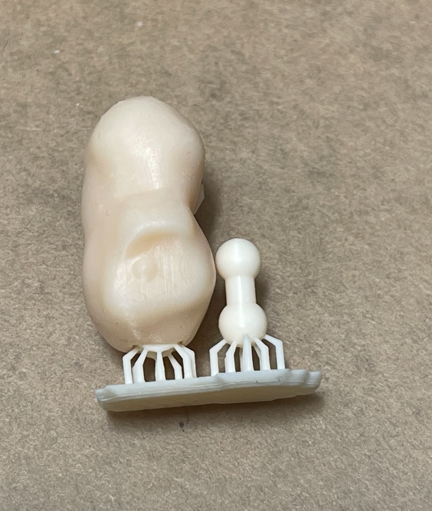 AUVボディRe:001-水着