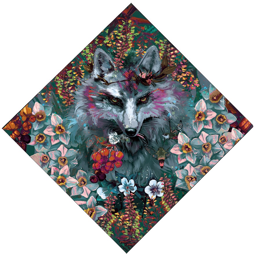 夜空を切り裂く、希望をもたらす最初の光。/風呂敷