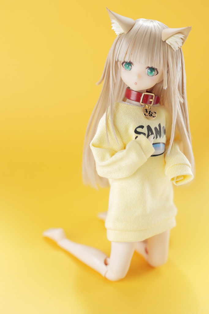 「うちのねこが女の子でかわいい」SANMAトレーナー(1/6ドールサイズ)