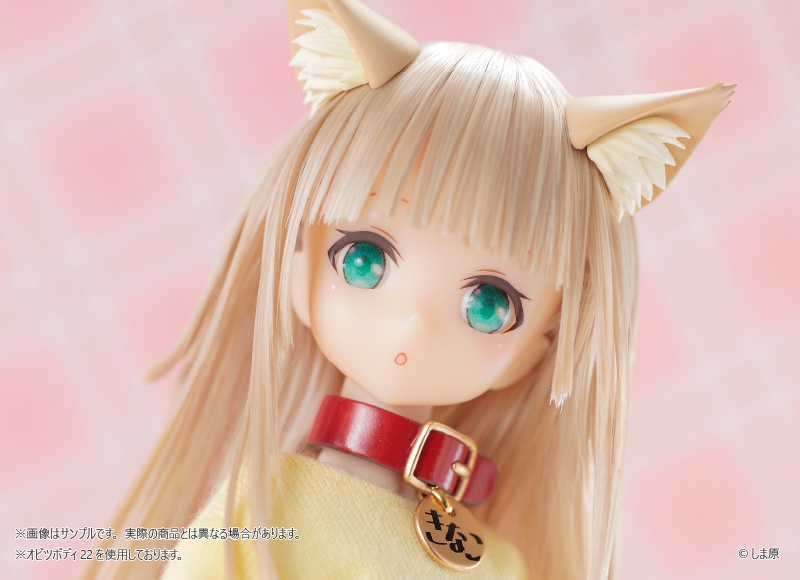 うちのねこが女の子でかわいい 1/6 きなこ ドール+SANMAトレーナー