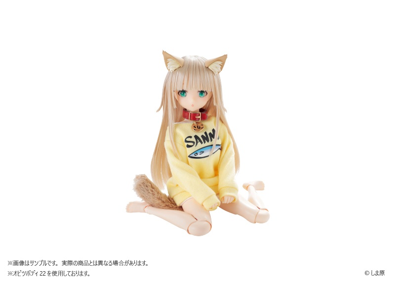 うちのねこが女の子でかわいい 1/6 きなこ ドール+SANMAトレーナー