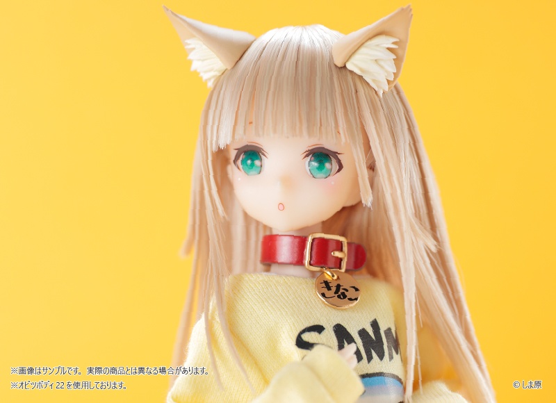 うちのねこが女の子でかわいい 1/6 きなこ ドール+SANMAトレーナー