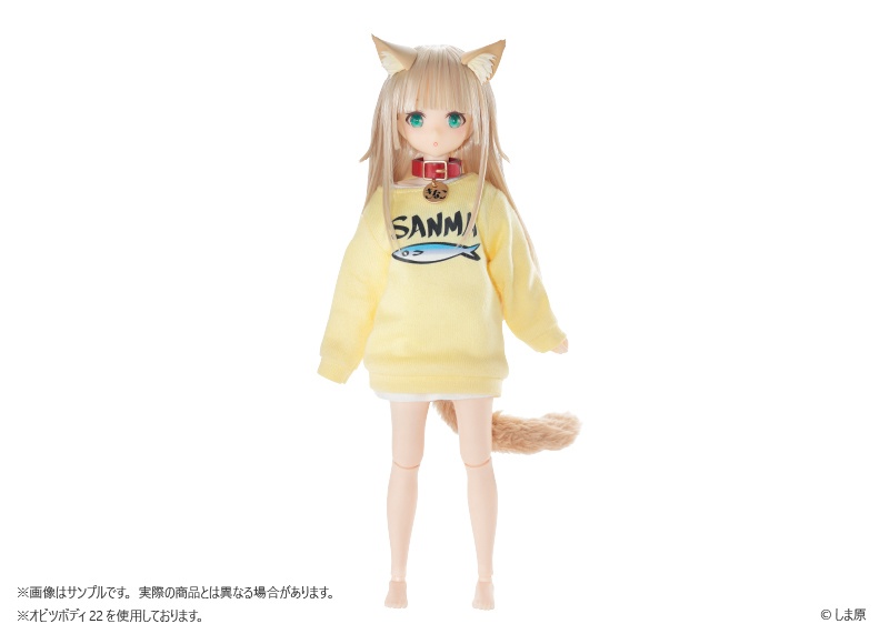 うちのねこが女の子でかわいい 1/6 きなこ ドール＋SANMAトレーナー