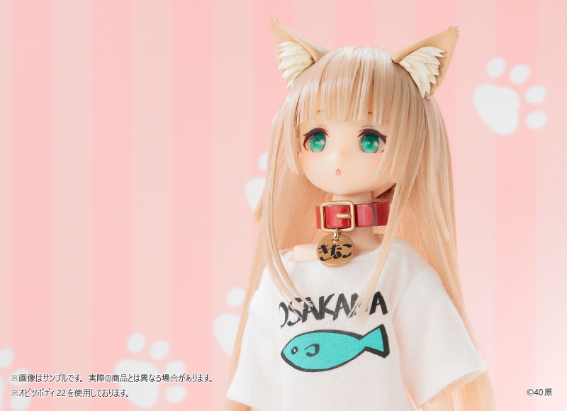 うちのねこが女の子でかわいい 1/6 きなこ ドール