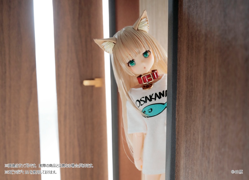 うちのねこが女の子でかわいい 1/6 きなこ ドール