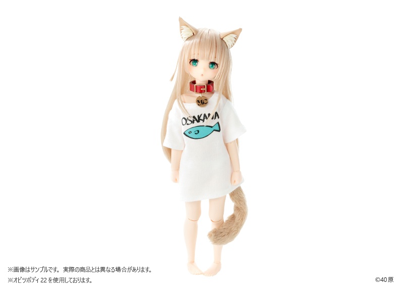 うちのねこが女の子でかわいい 1/6 きなこ ドール