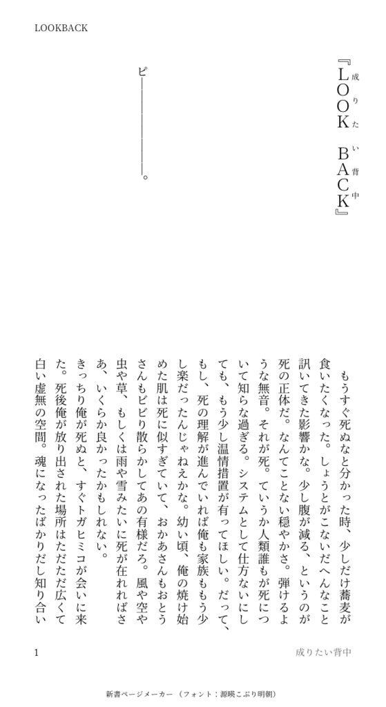 7/5新刊コピ本『LOOK BACK.』【轟出・荼毘】