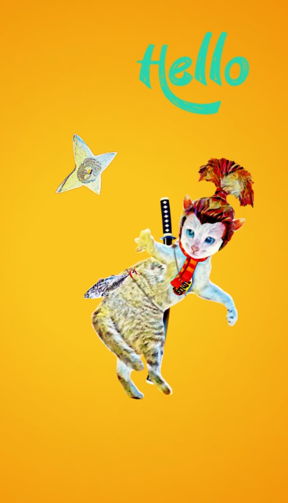 【iPhoneケース】NINJA CAT