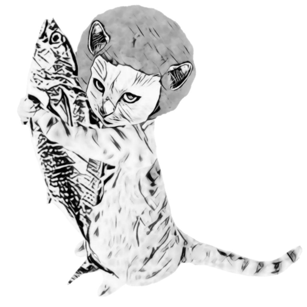 アフロBAD CAT FISH