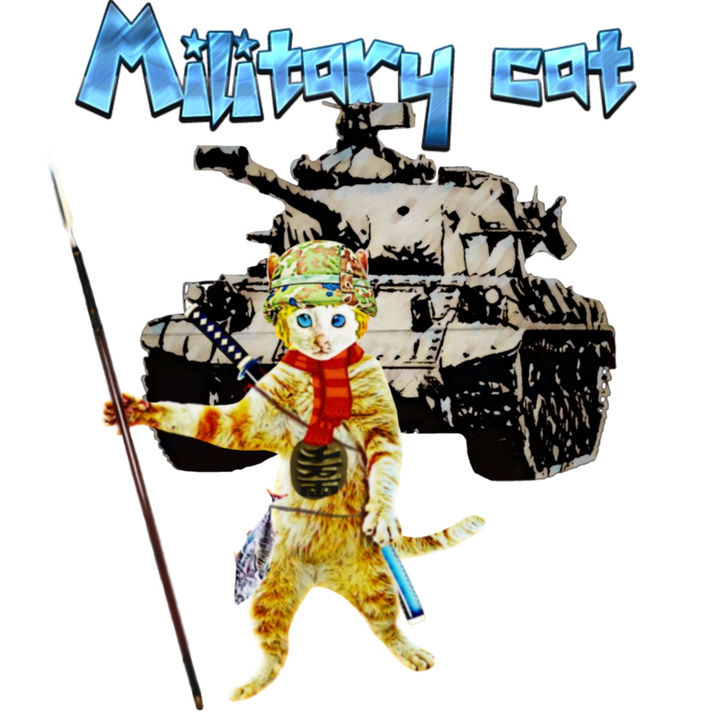 Military cat