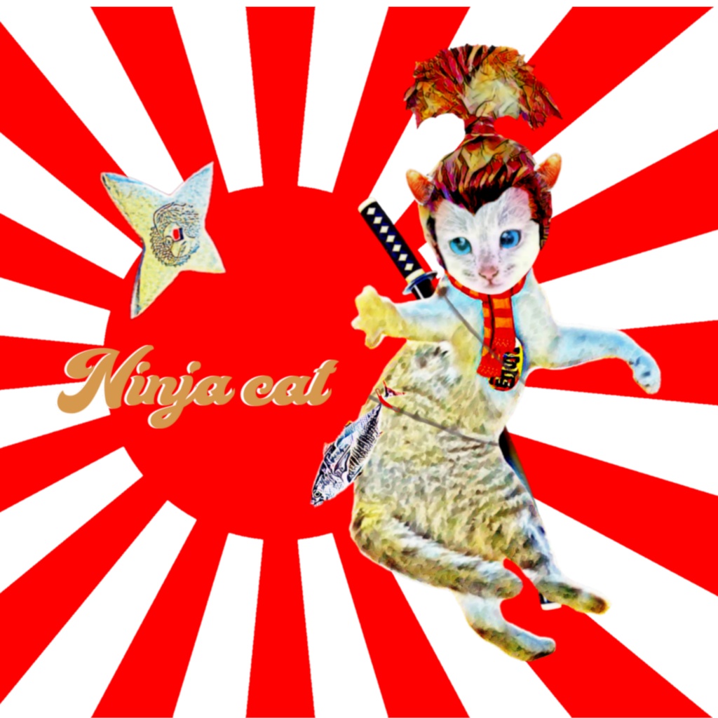 Ninja cat Japan