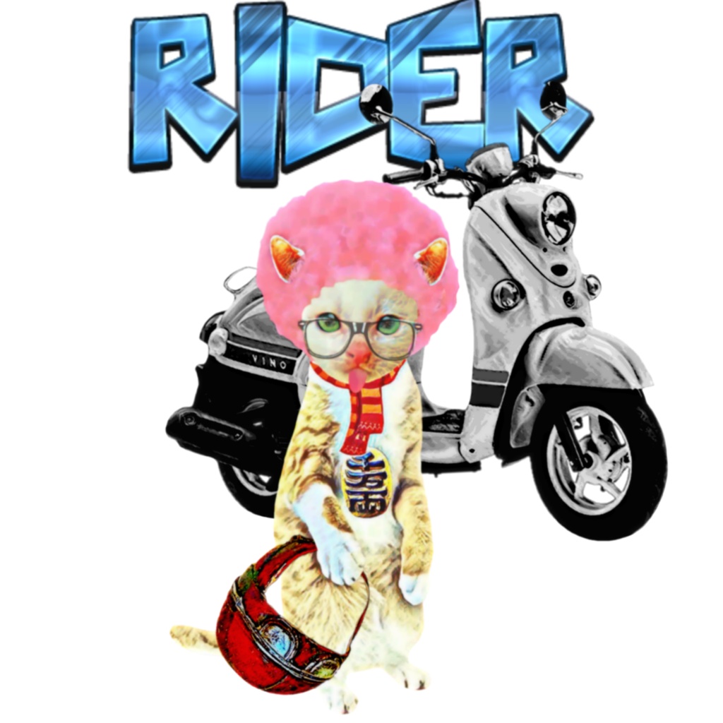 RIDER CAT