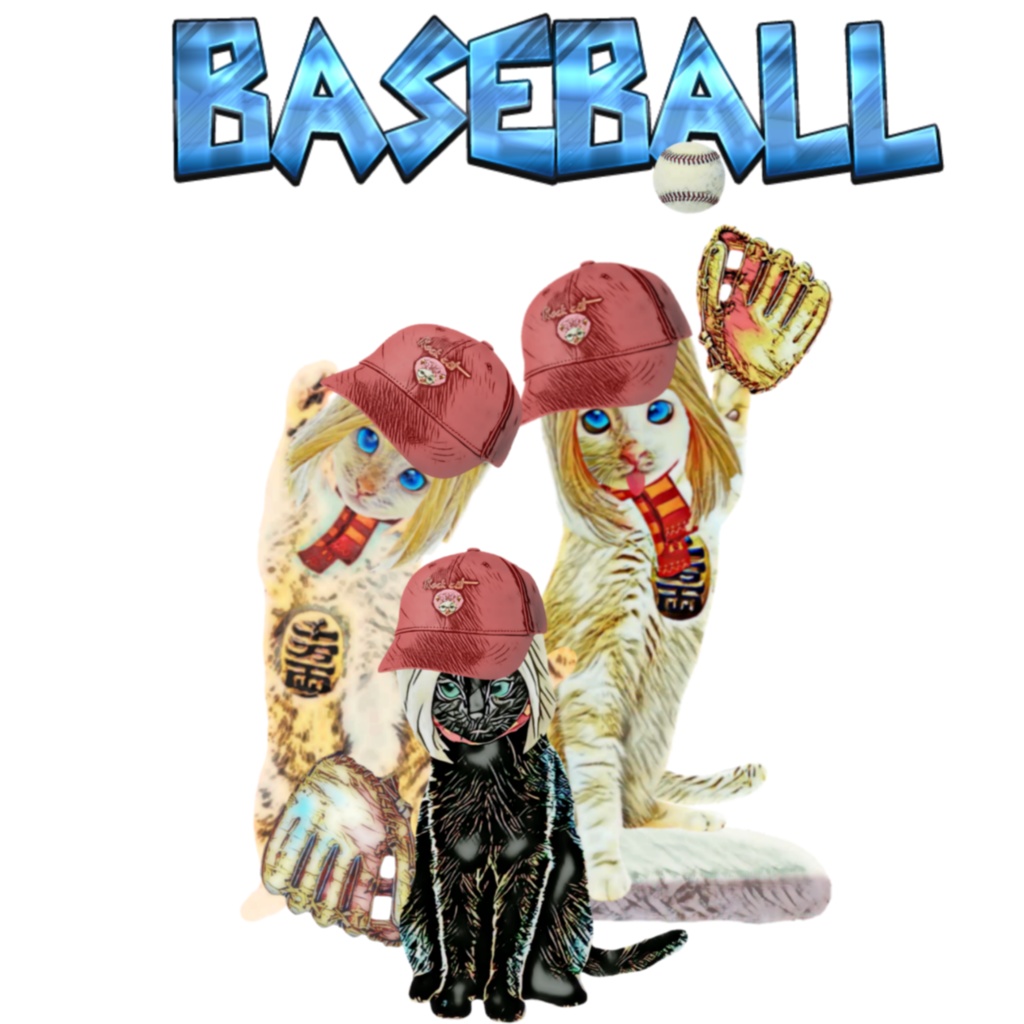 CAT BASEBALL