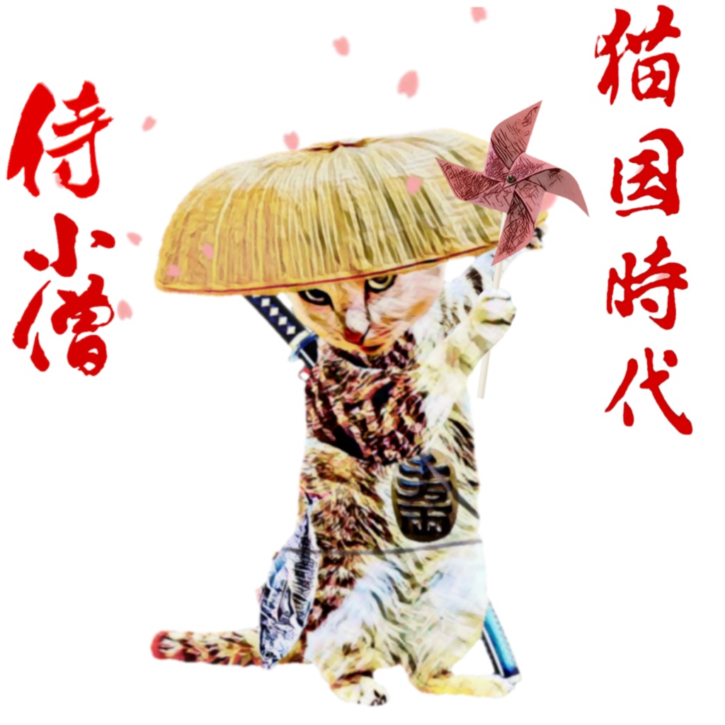 猫国時代 小僧猫