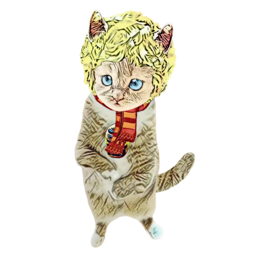 タヌキ猫