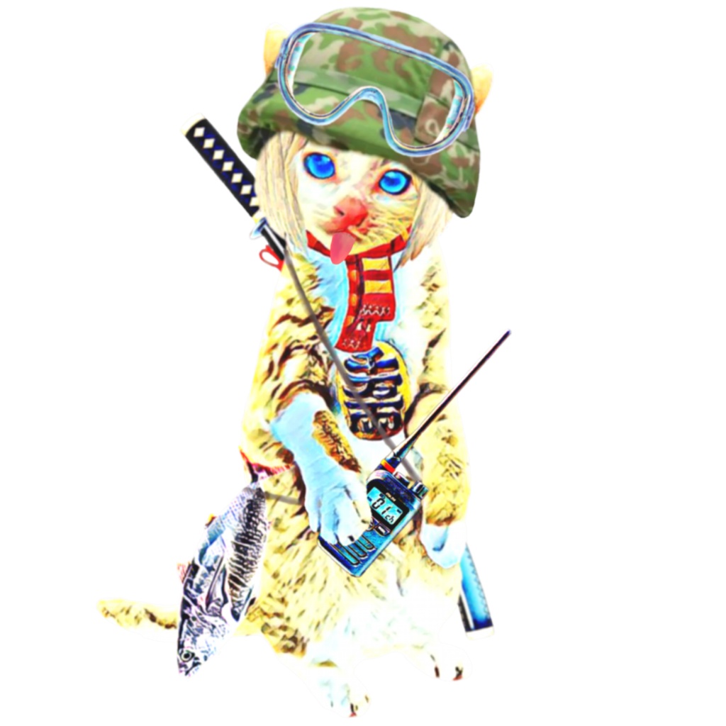 ソルジャーキャット