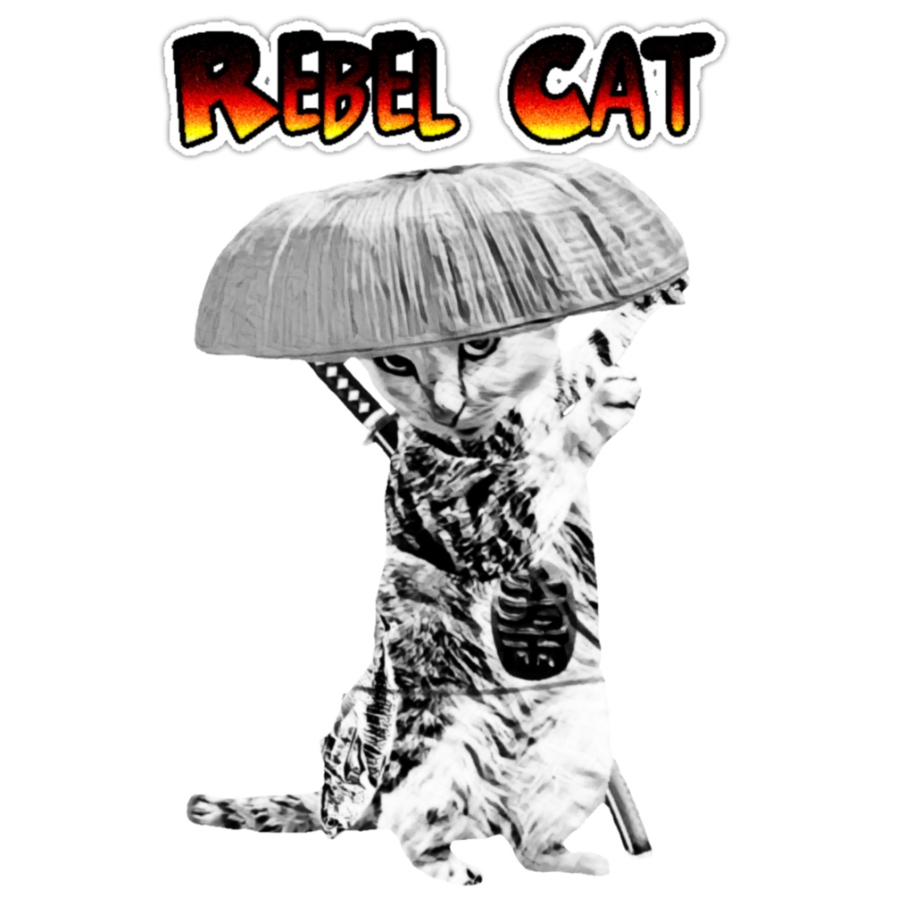 反逆の猫 三度笠