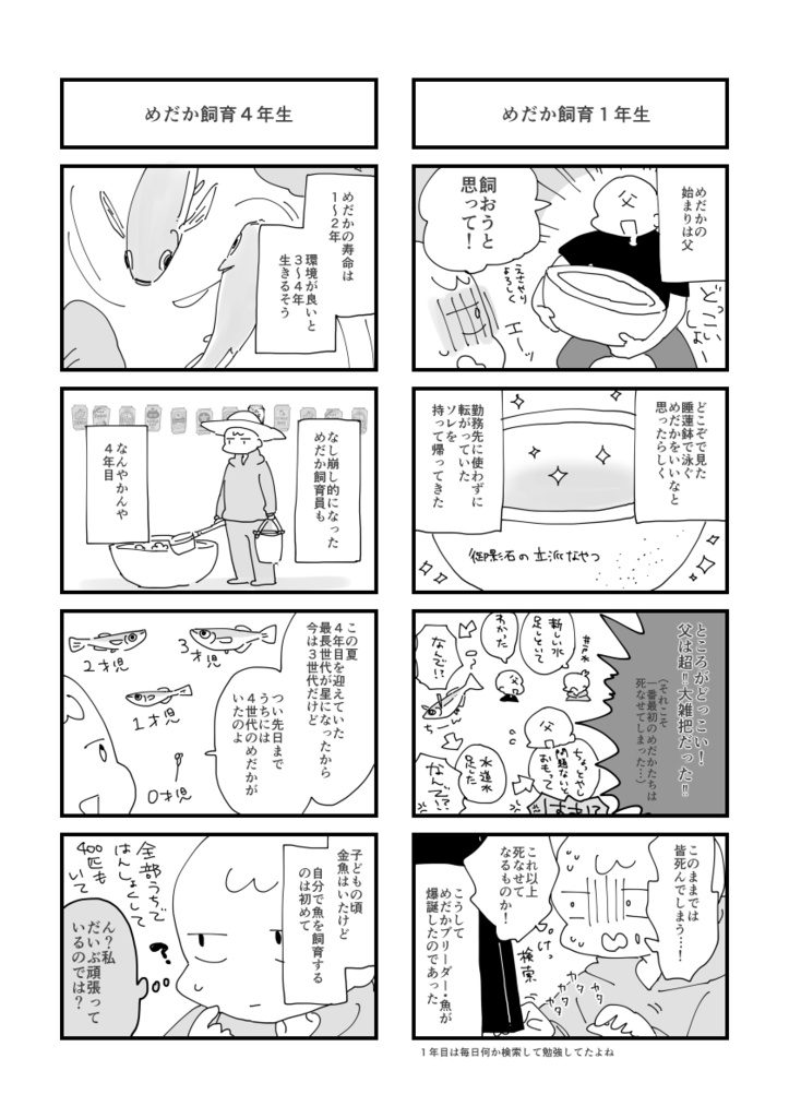 めだかを飼っています。