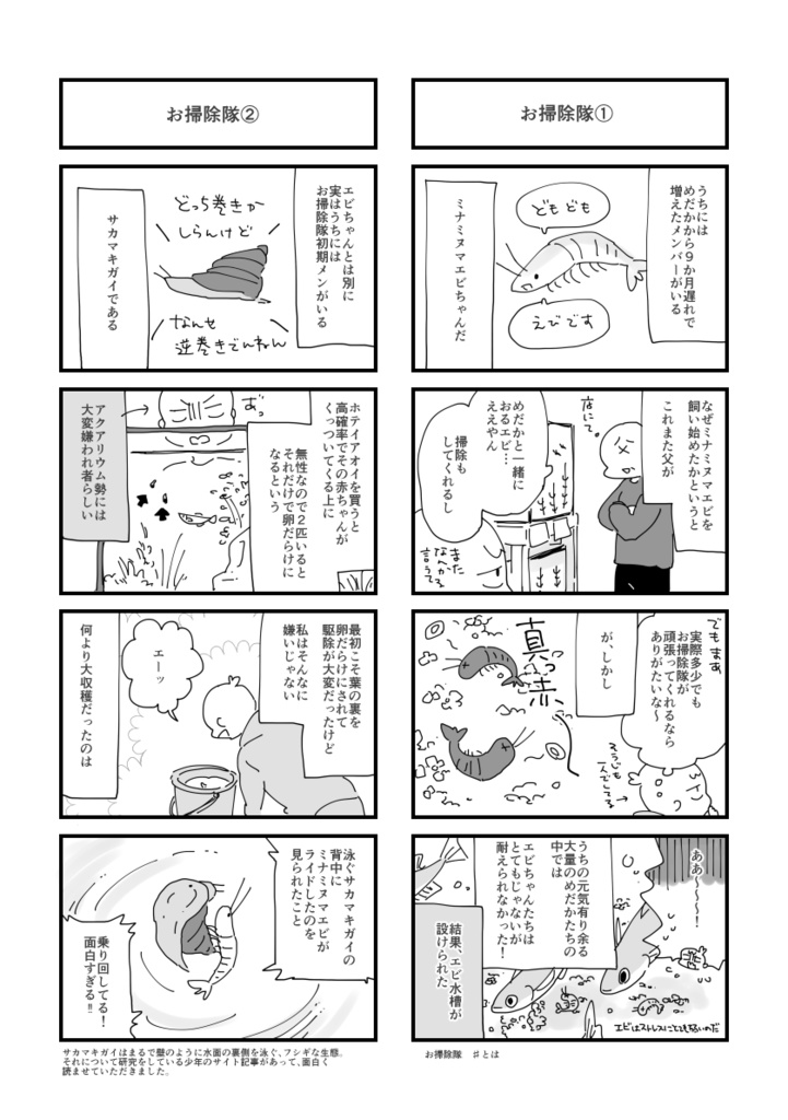 めだかを飼っています。