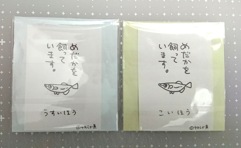 めだかを飼っています。