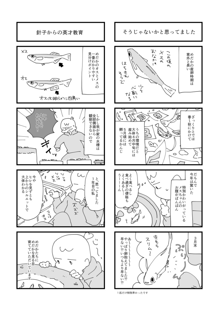 めだかを飼っています。