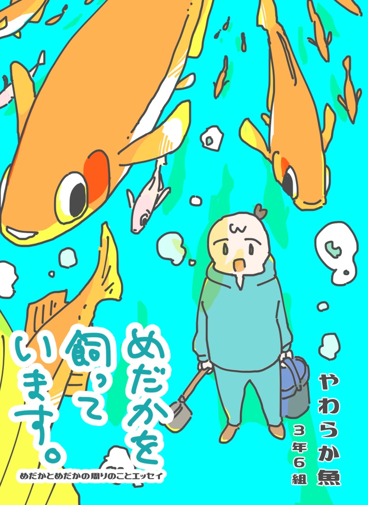 めだかを飼っています。