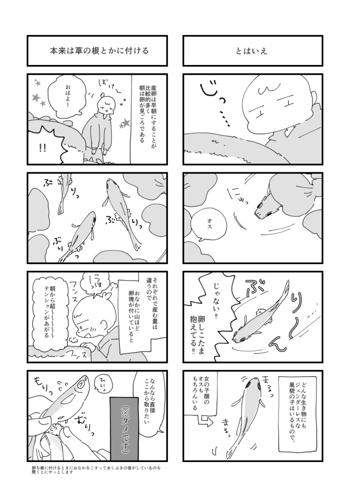 めだかを飼っています。