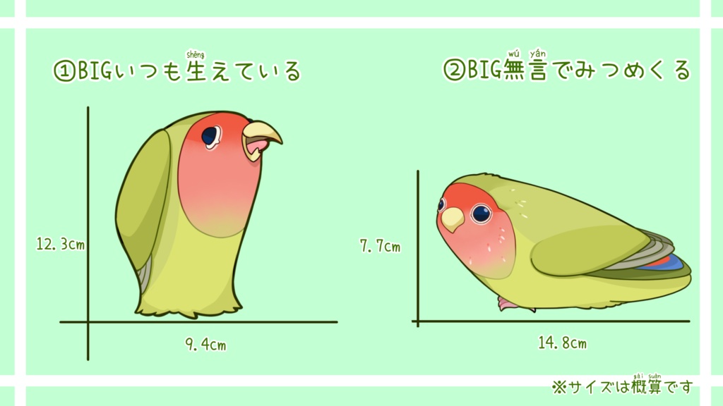 BIG❗️様子のおかしいコザクラインコステッカー🦜【全2種】