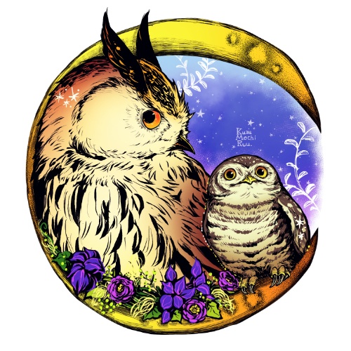 缶バッジ:梟の星空と草花添え