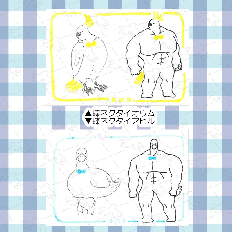 ドローイング🕊蝶ネクタイ羽毛たち