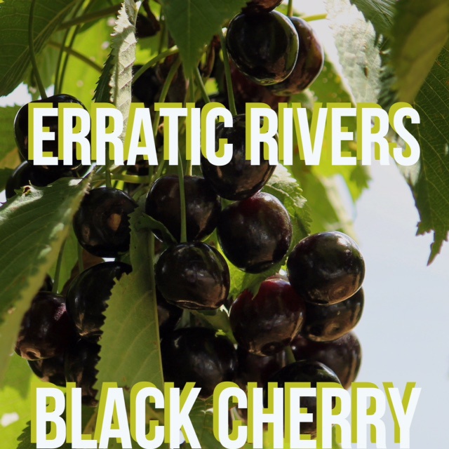 Black Cherry 1st Single「Erratic Rivers」