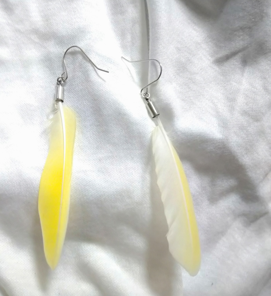鳥の羽根のピアス(ロング)