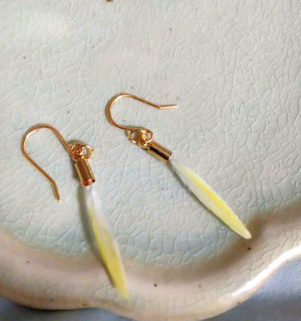 小さな鳥の羽根のピアス