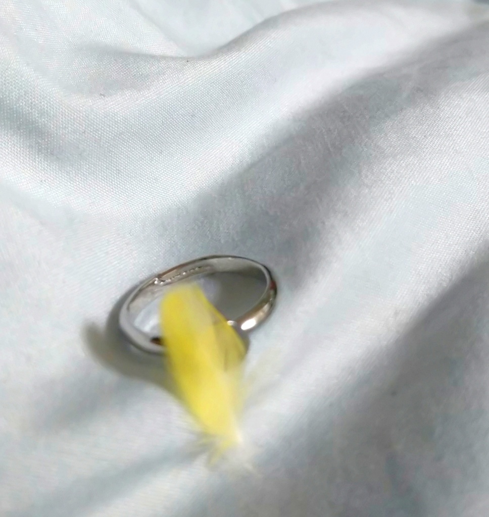 鳥の羽根のピンキーリング