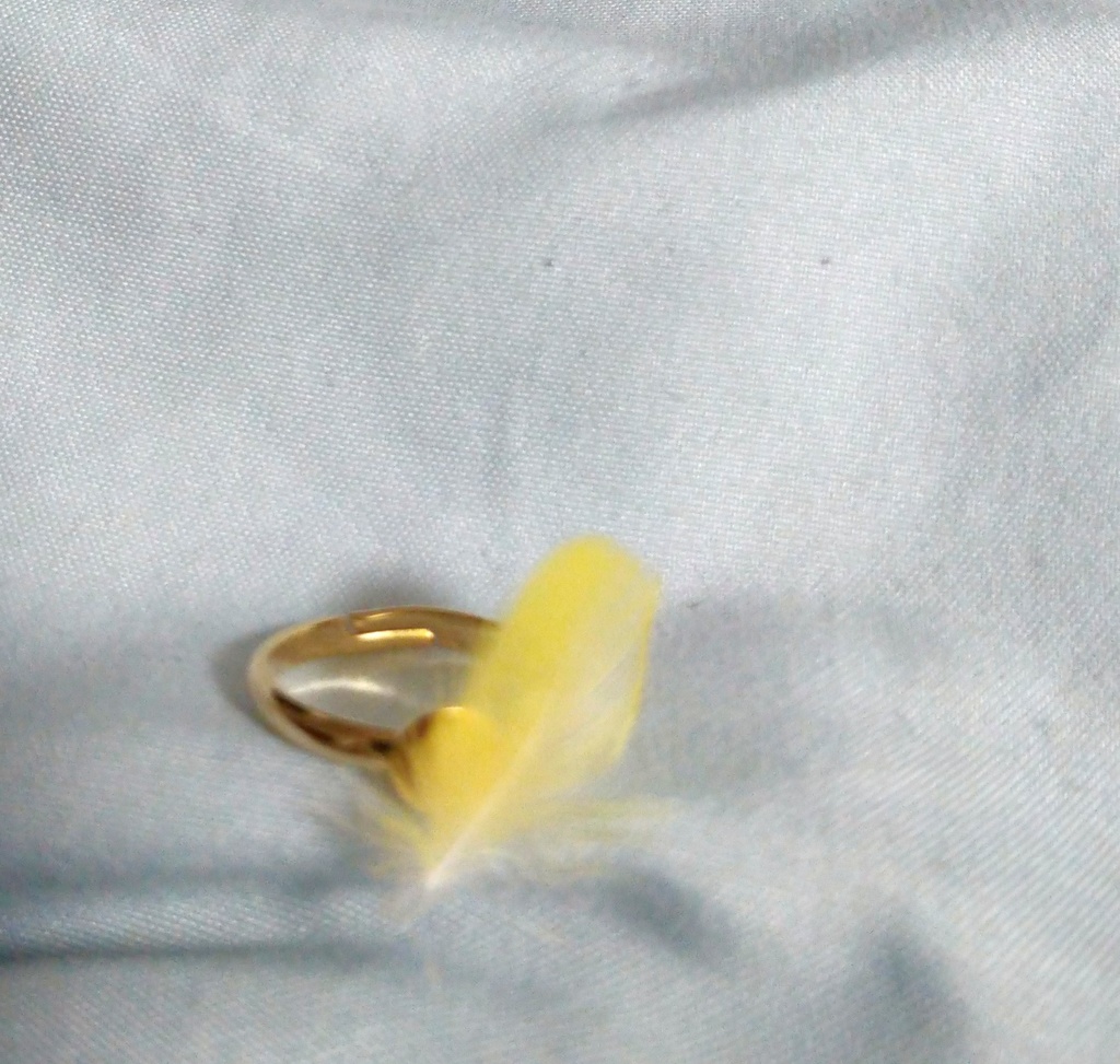 鳥の羽根の指輪(ゴールド・斜め)