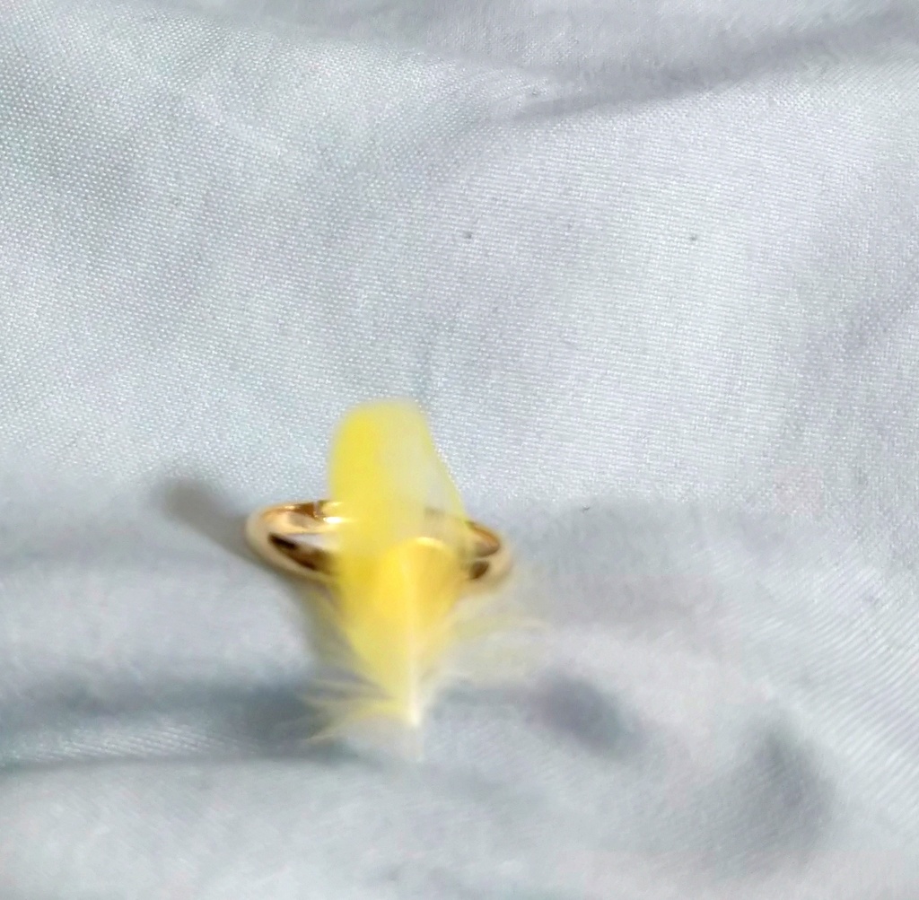 鳥の羽根の指輪(金・縦)