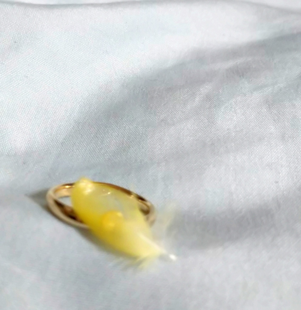 鳥の羽根のピンキーリング