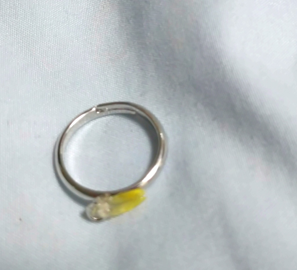 【レジン】鳥の羽根の指輪(シルバー・横)