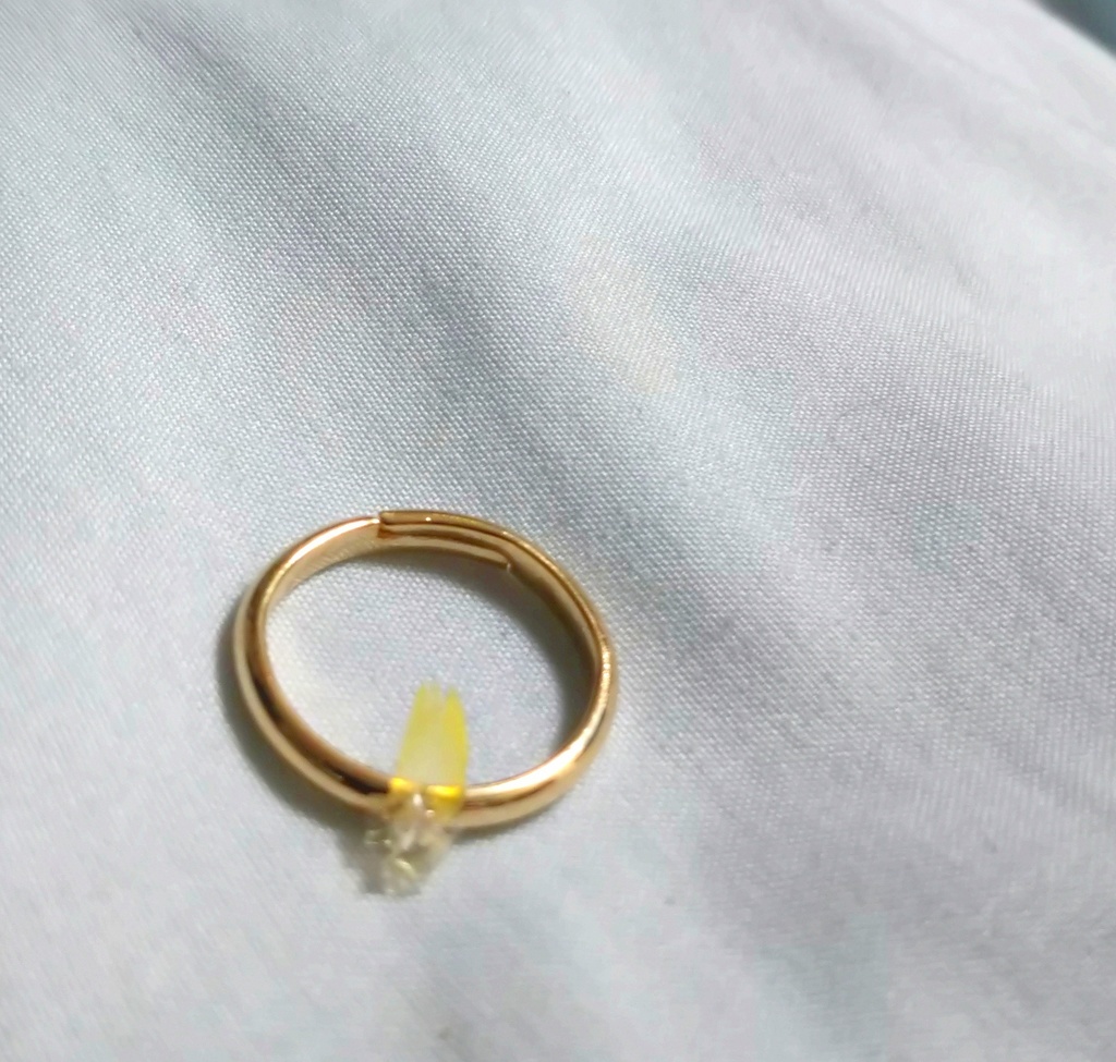 【レジン】鳥の羽根のピンキーリング