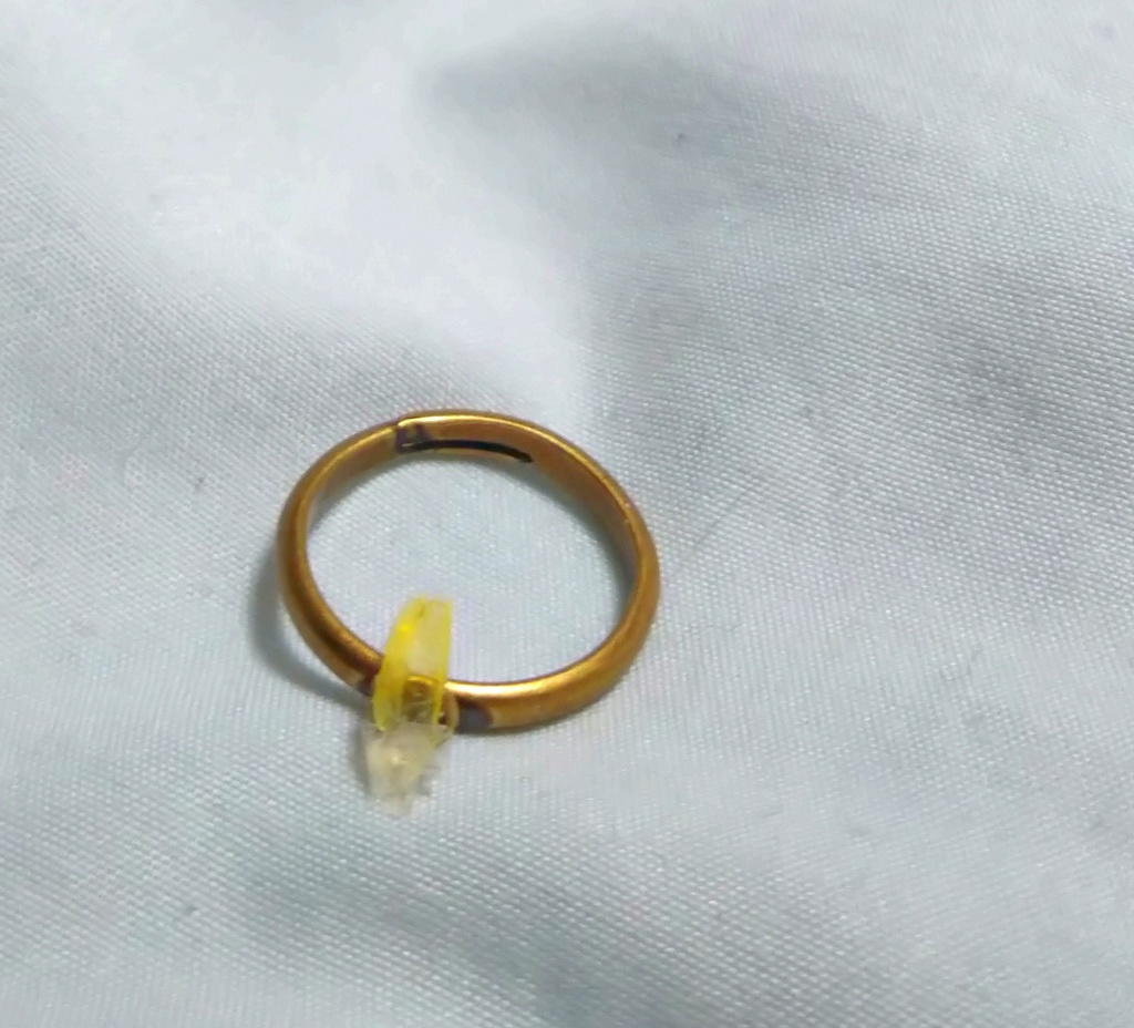 【レジン】鳥の羽根のピンキーリング