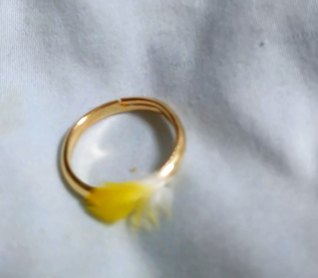 鳥の羽根の指輪(ゴールド・横) - torinohane - BOOTH