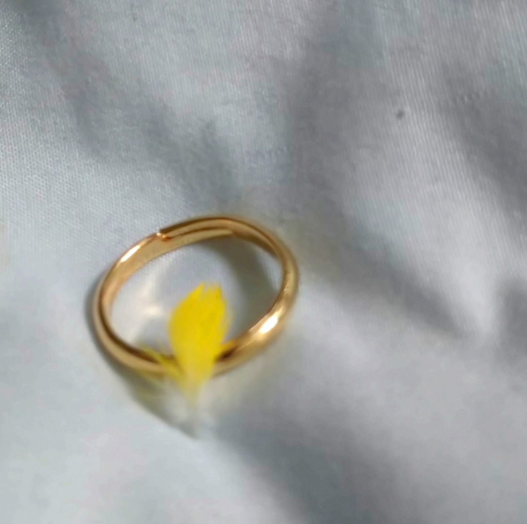 鳥の羽根の指輪(ゴールド・縦)