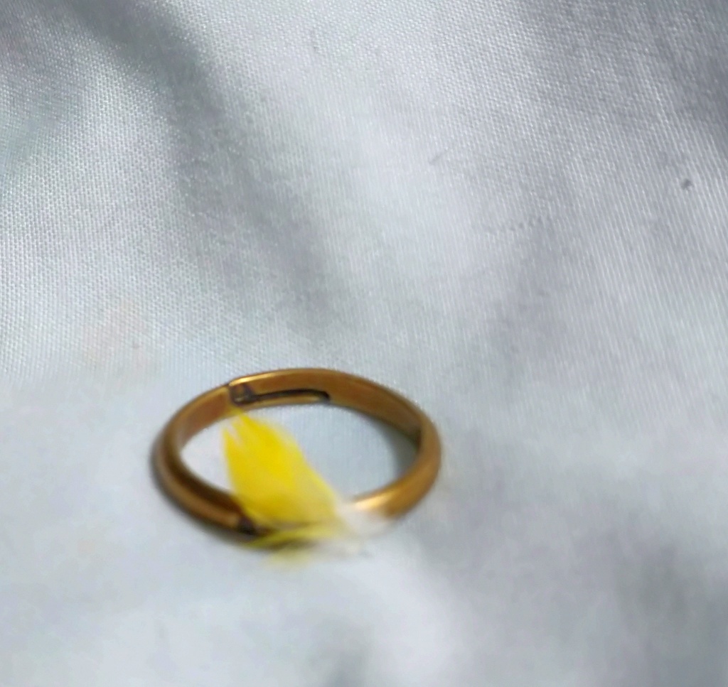 鳥の羽根の指輪(アンティーク調・斜め)