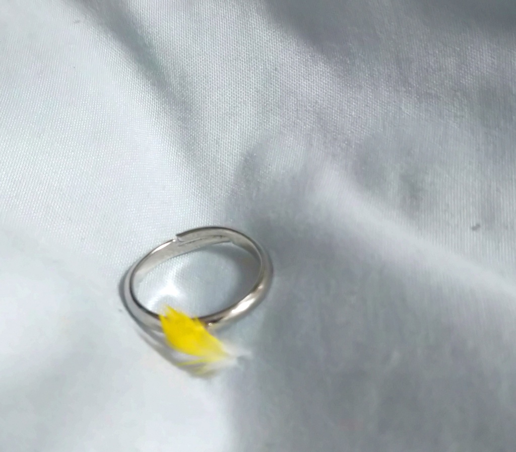 鳥の羽根の指輪(シルバー・斜め)