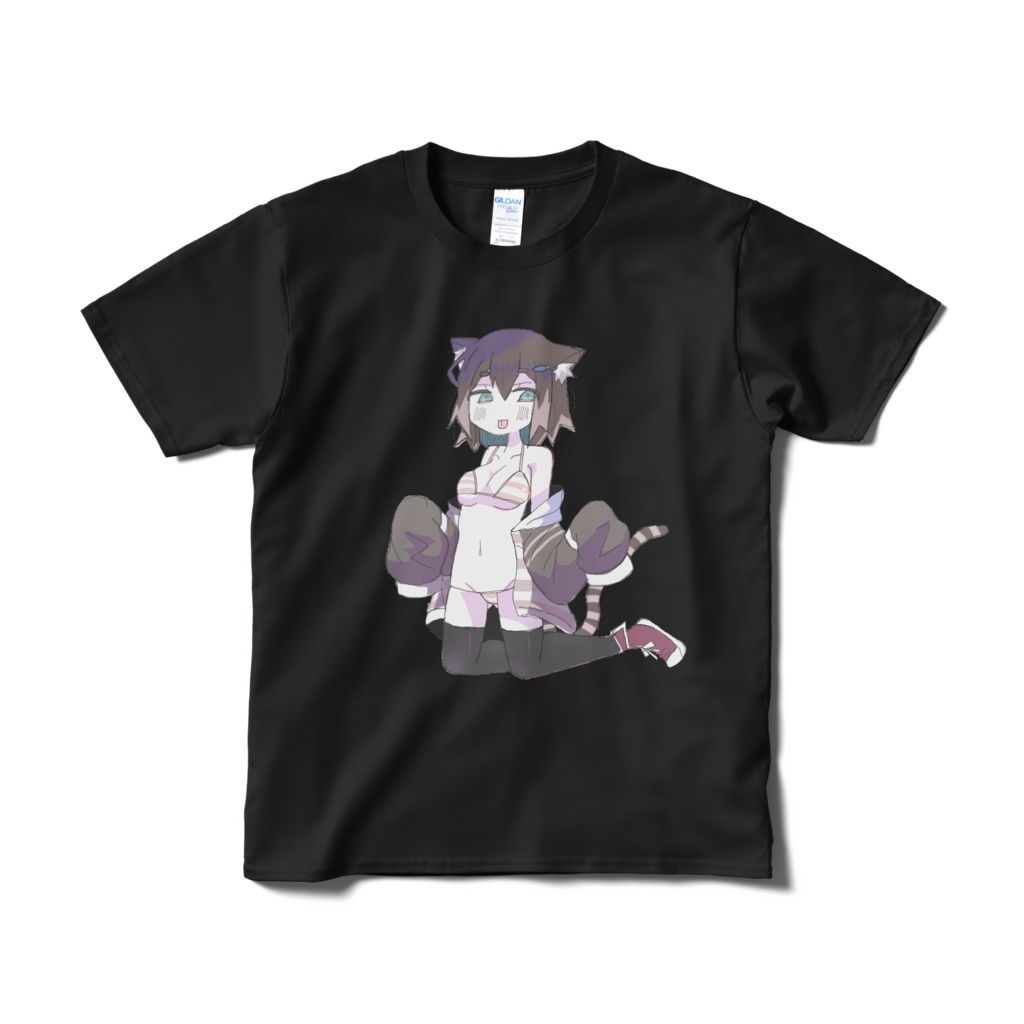 野良猫T
