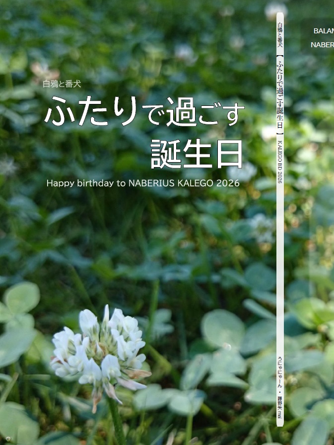 欠品中・ｼﾁｶﾙ【ふたりで過ごす誕生日】BD祝2026冬