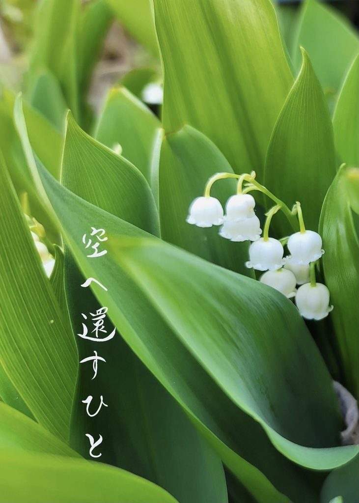 空へ還すひと