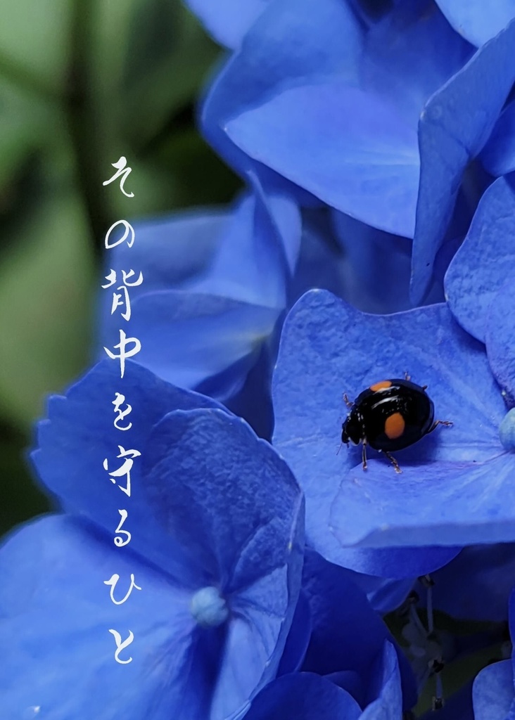 その背中を守るひと