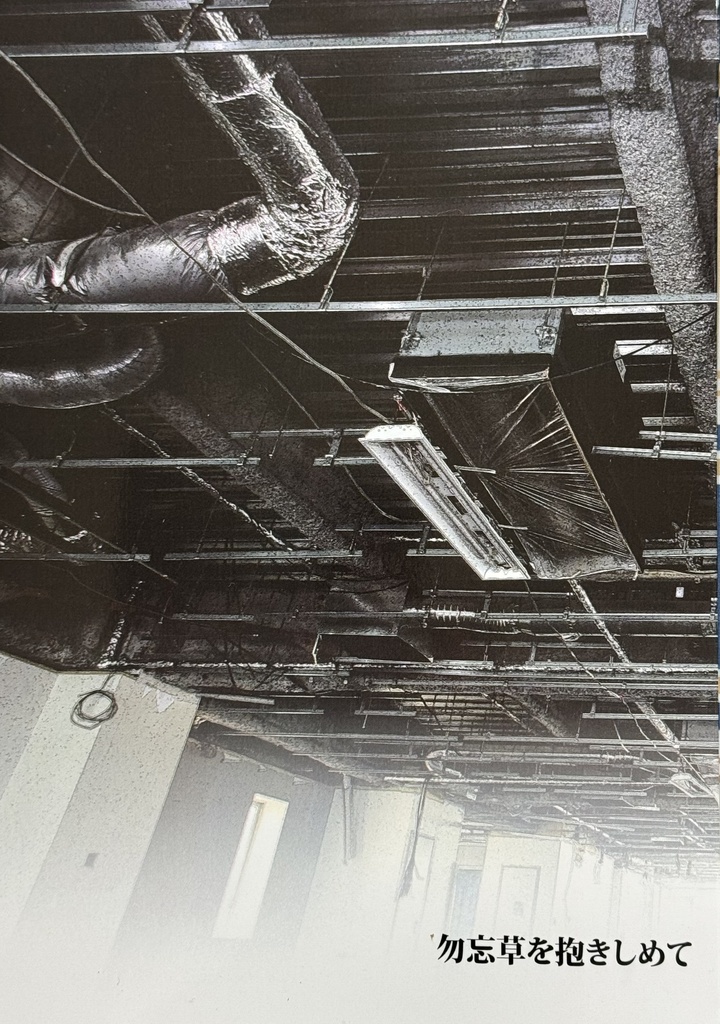 【実写アイラチェ】勿忘草を抱きしめて