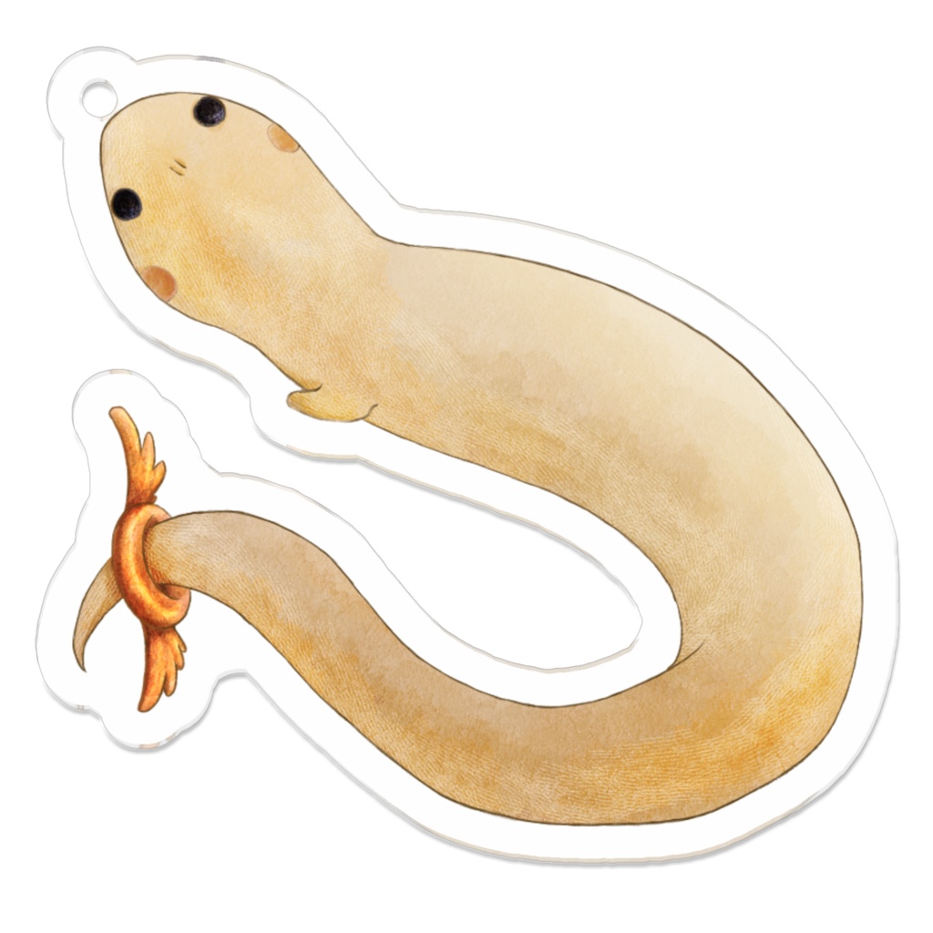 アクキー（前足）